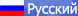 Русский язык